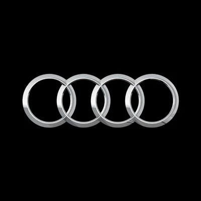Black Audi Badge
